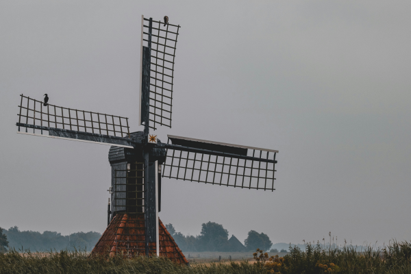 Vervreemder van bouwkavels kwalificeert als btw-ondernemer door sloop van voormalige arbeiderswoningen